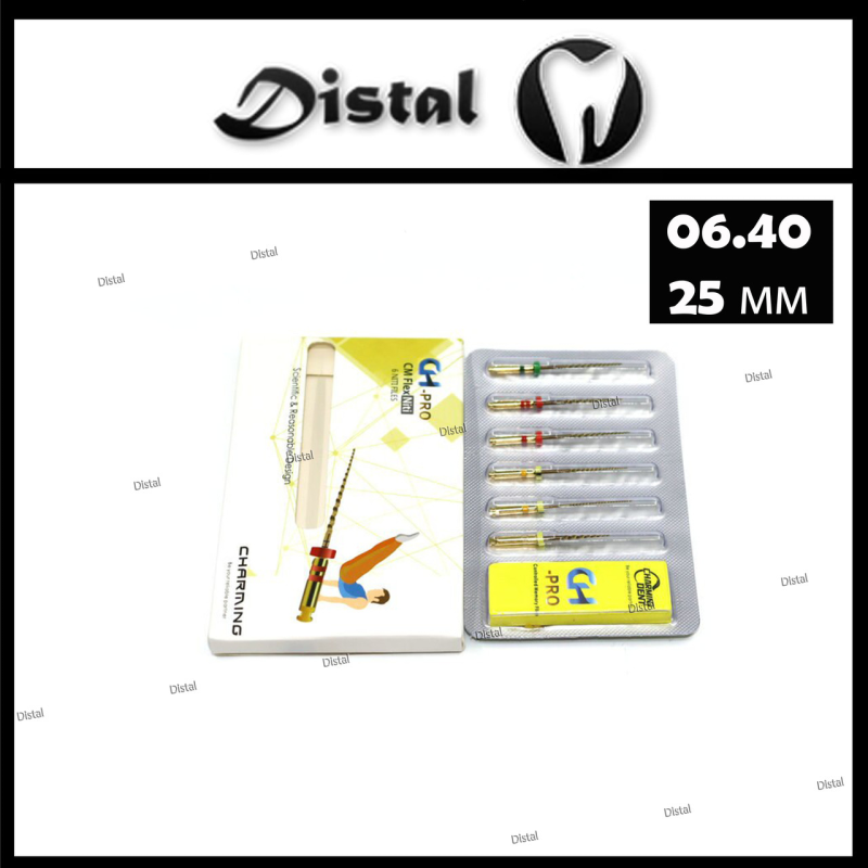 Файл роторний CH-PRO, 25 мм № 06.40 машинні Файл роторний CH-PRO, 25 мм № 06.40 машинні