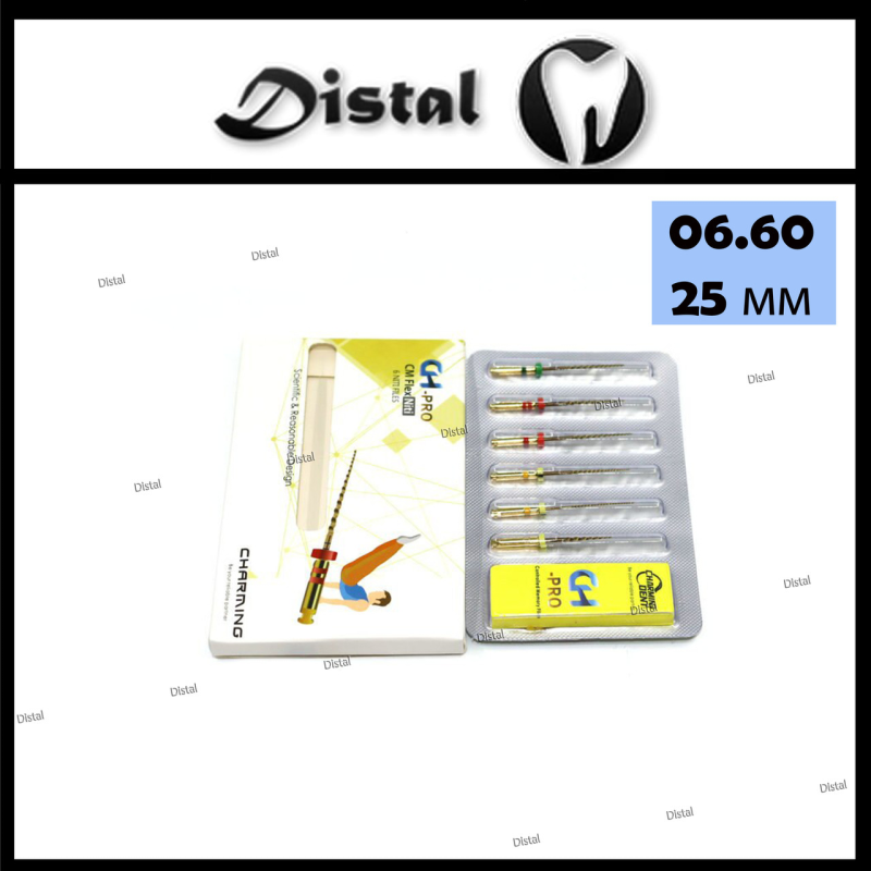 Файл роторний CH-PRO, 25 мм № 06.60 машинні Файл роторний CH-PRO, 25 мм № 06.60 машинні