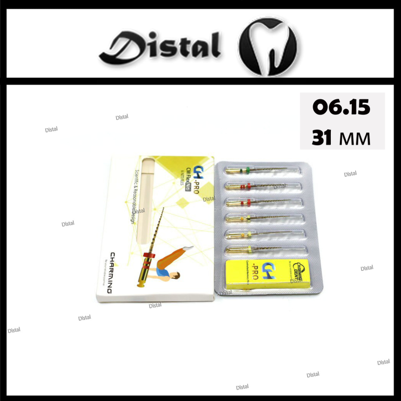 Файл роторний CH-PRO , 31 мм № 06.15 машинні Файл роторний CH-PRO , 31 мм № 06.15 машинні